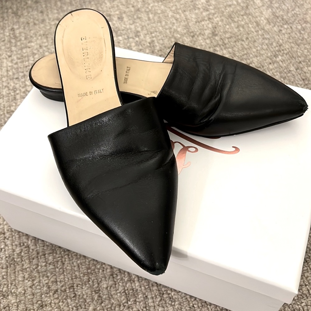 Everlane Pointy Toe Slides